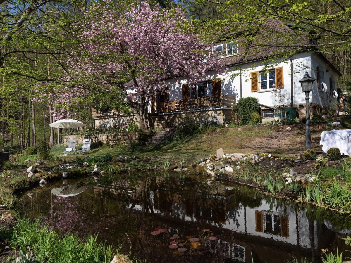Charming Apartment In Wei Enbrunn Near Forest Weissenbrunn Esterno foto