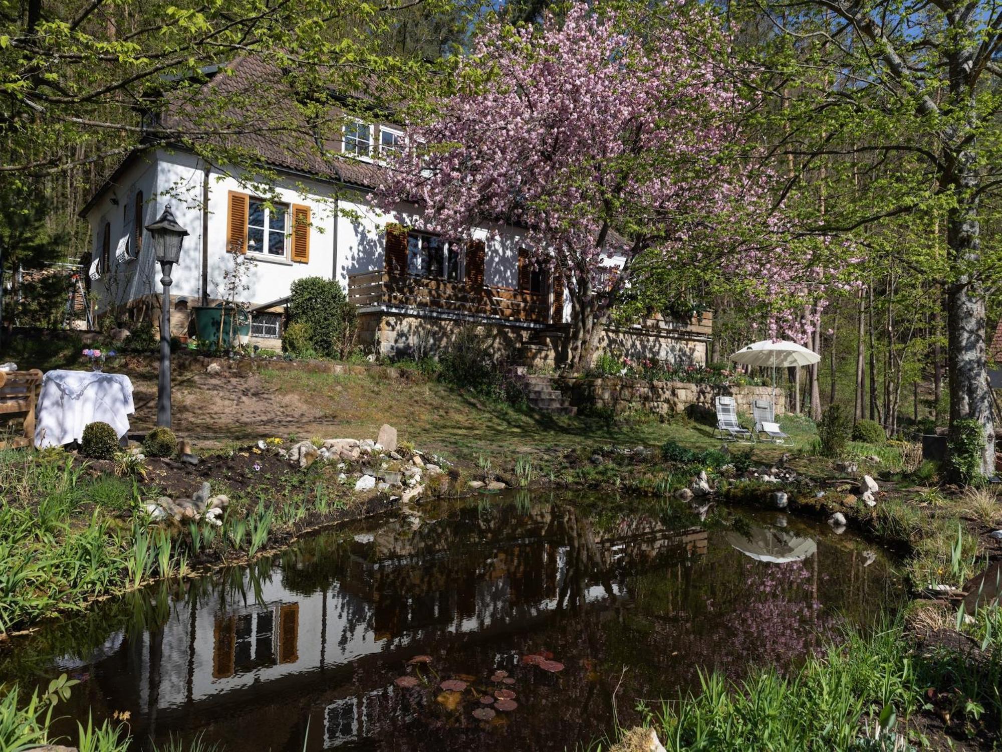Charming Apartment In Wei Enbrunn Near Forest Weissenbrunn Esterno foto